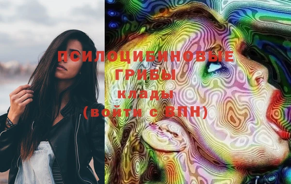 PSILOCYBIN Горняк