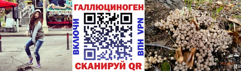 Галлюциногенные грибы Psilocybe  купить   Дальнереченск 