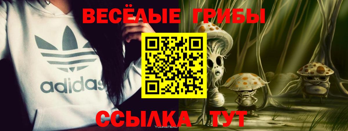 Дальнереченск  Псилоцибиновые грибы Psilocybe  как найти закладки  Вход с VPN 